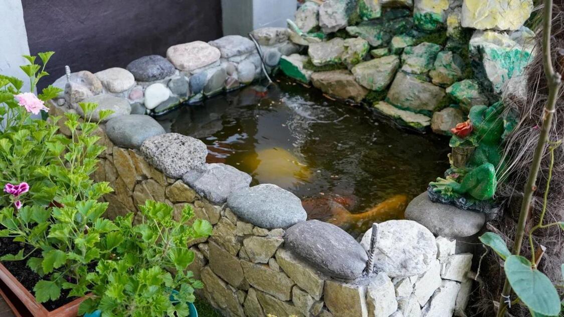 Вита Гагра Екстер'єр фото